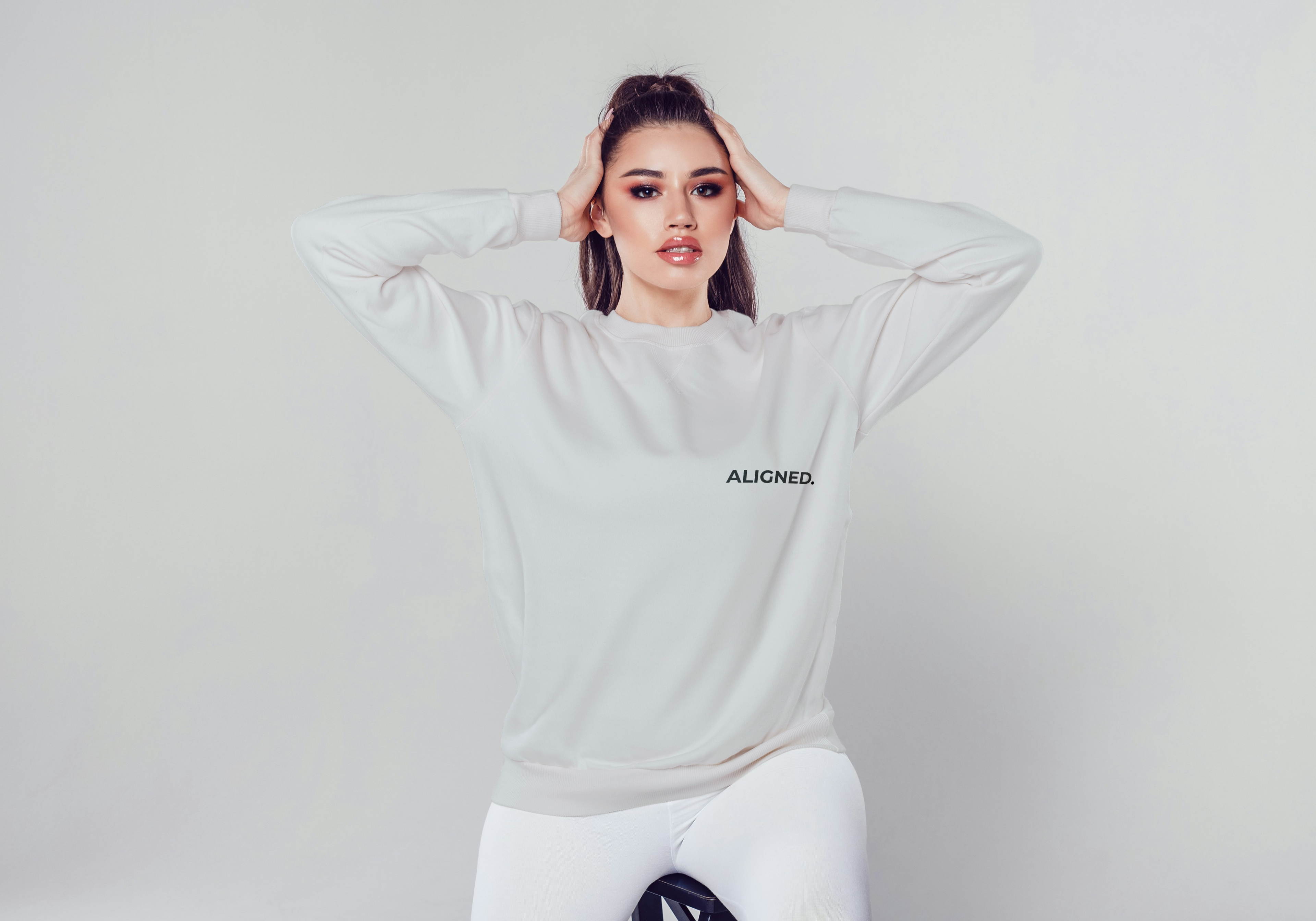 Aligned Sweatshirt | Front "ALIGNED. " | Back "Vertical Line Design" | Minimalist Unisex Sweatshirt